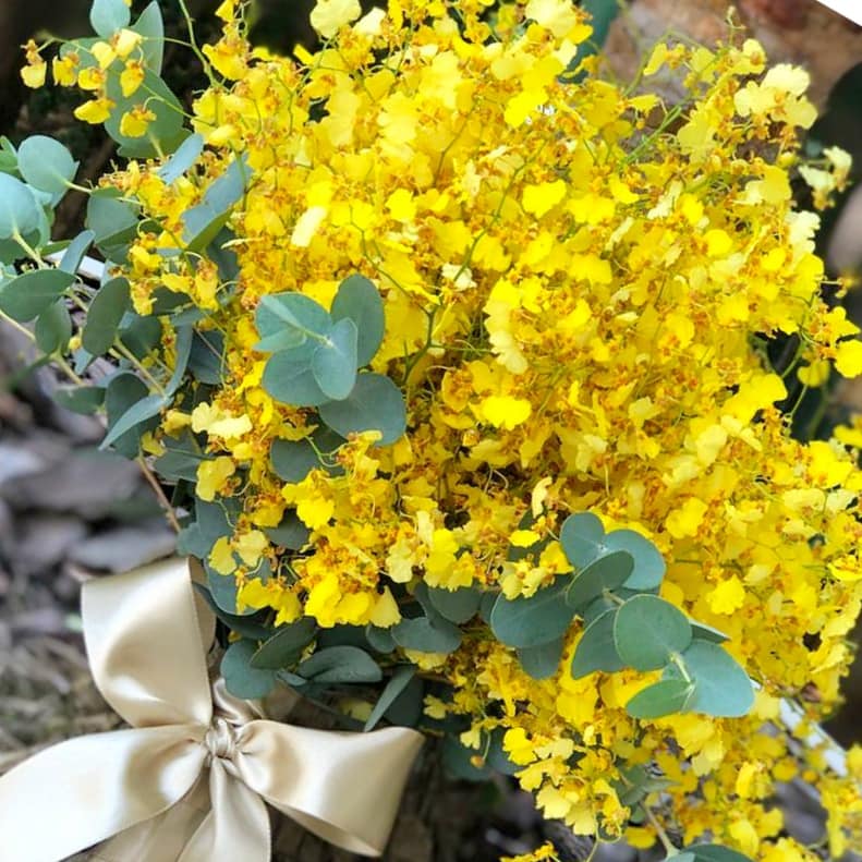 chuva de ouro | La Rosa's Floricultura